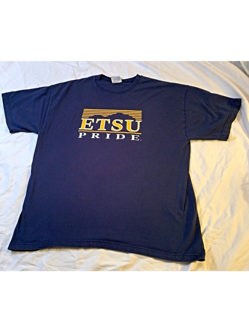 VTG East Tennessee State "ETSU PRIDE" T Shirt Blue Large Made in USA NCAA